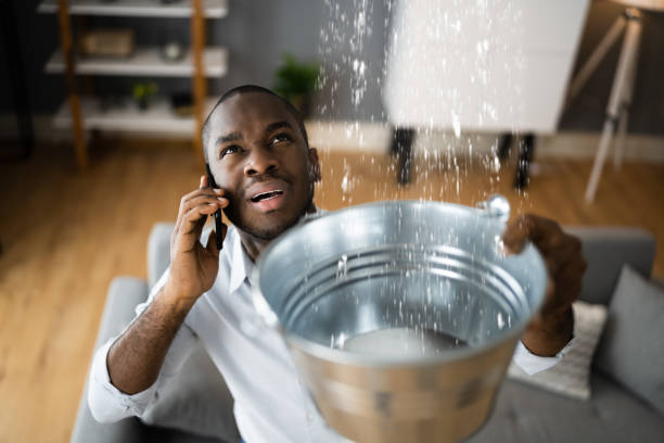 Best Local water damage restoration  in Forest City, PA