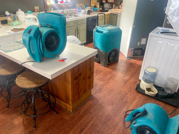 Best Water damage restoration cost  in Forest City, PA