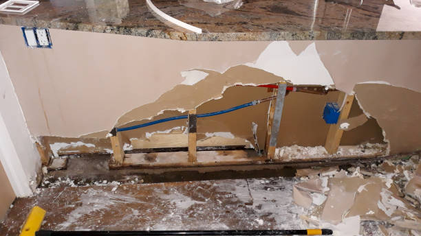 Best Mold removal after water damage  in Forest City, PA