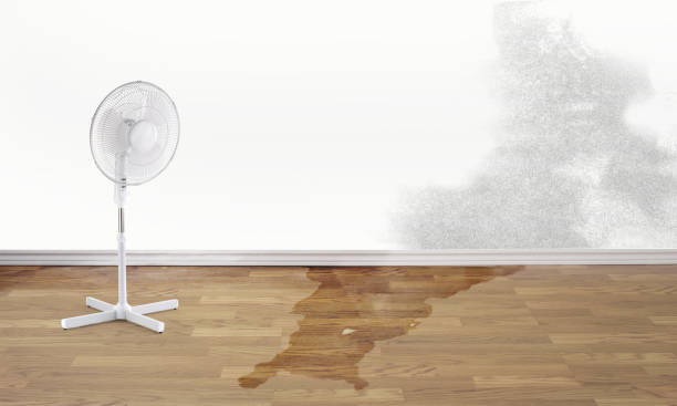 Local water damage restoration in Forest City, PA