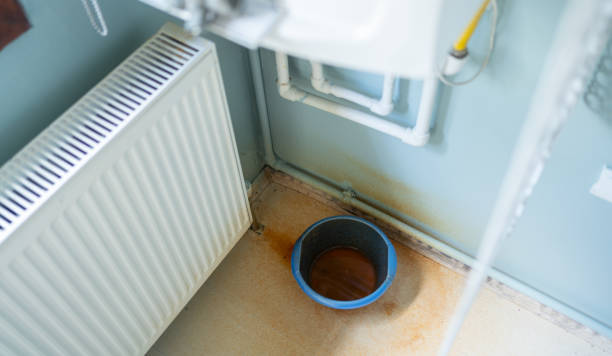 Best Water damage contractors near me  in Forest City, PA