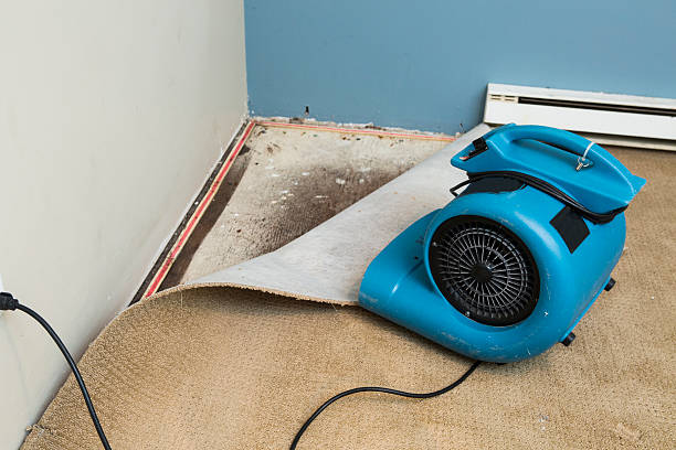 Professional Water damage restoration in Forest City, PA